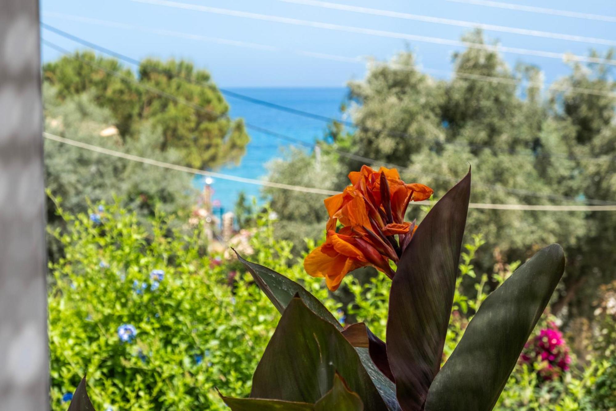 Theasea House Apartment Áyios Nikítas Екстериор снимка